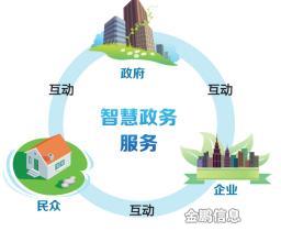 電子政務(wù)